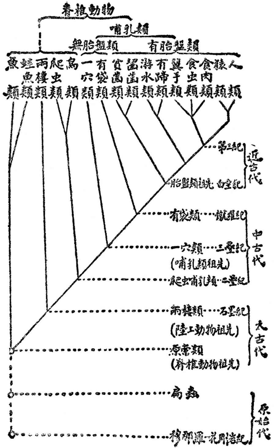 人之历史-1